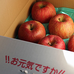 福島県のリンゴ